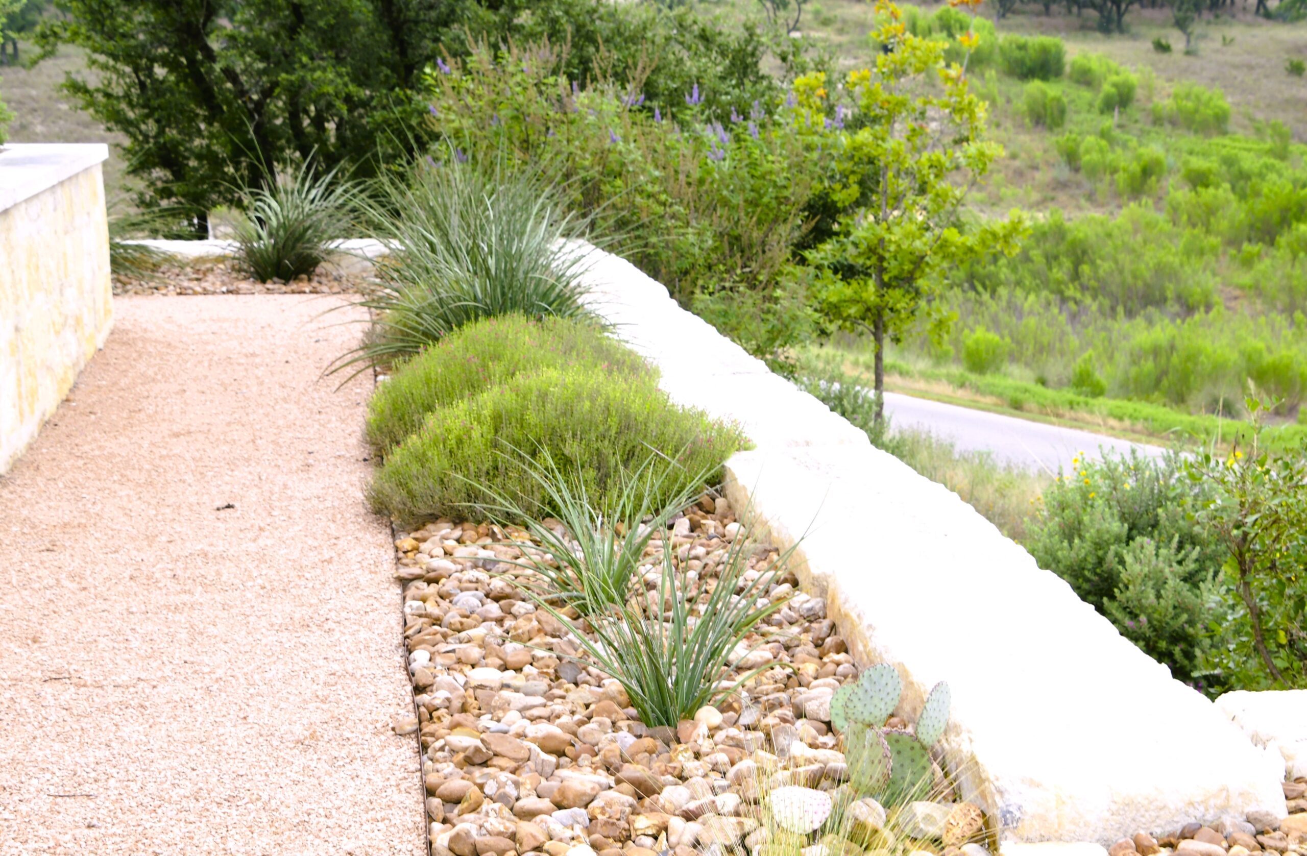 Xeriscaping & Native Landscaping