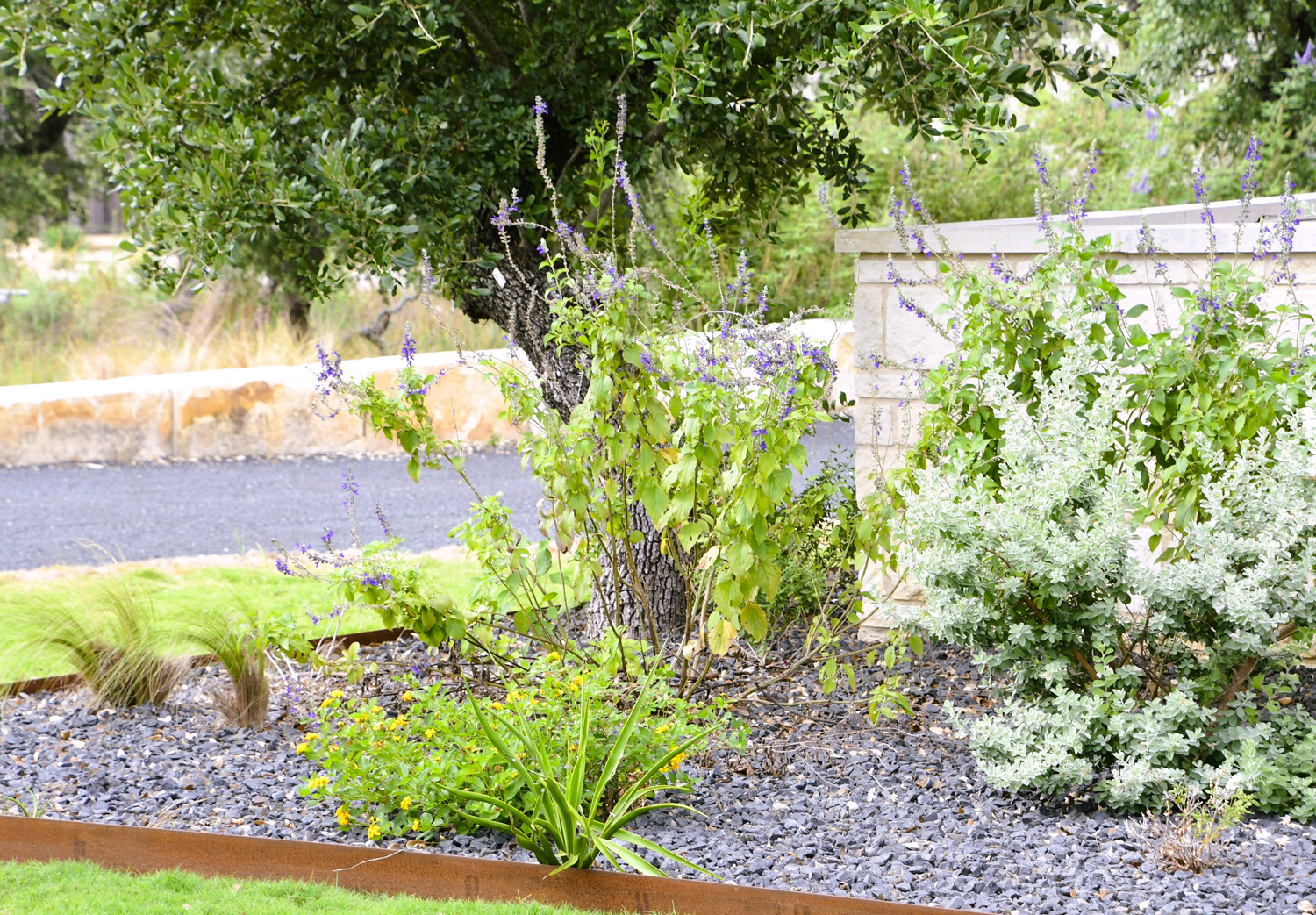Why Homeowners Choose Donado Luxury Landscaping