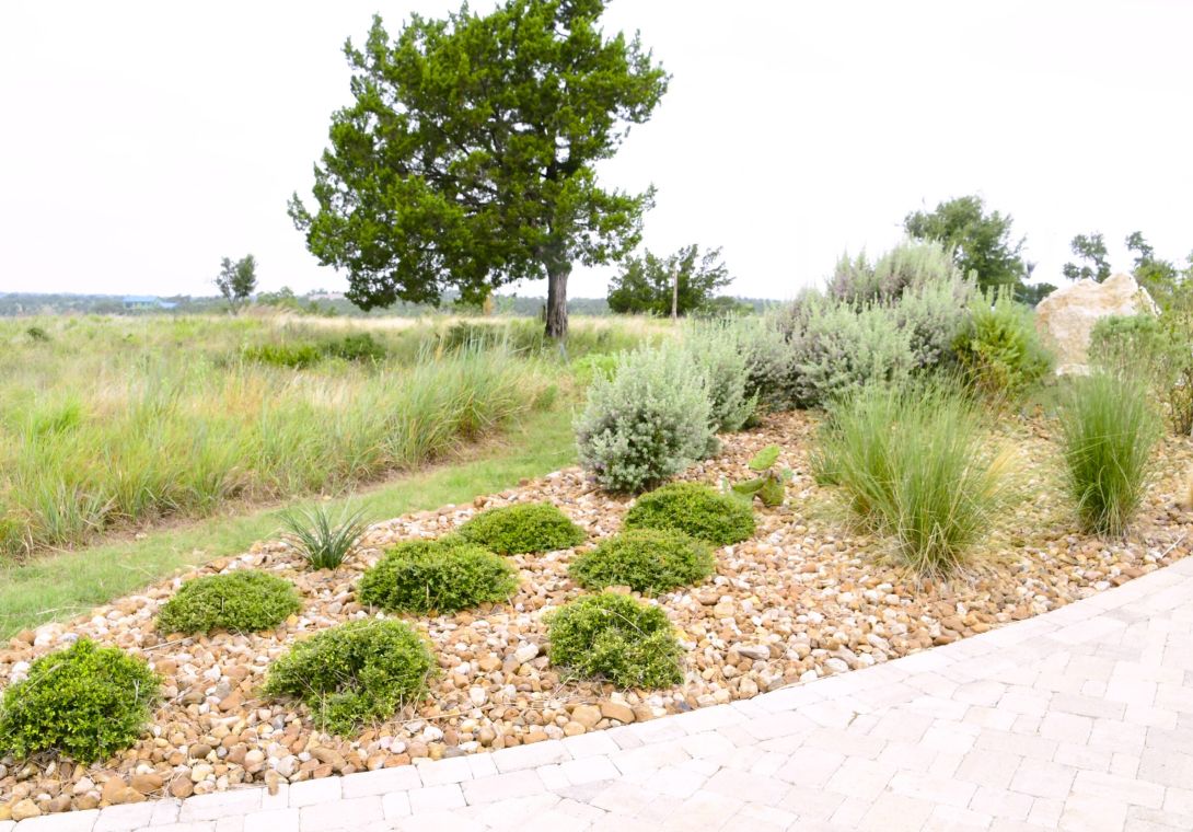At Donado Luxury Landscaping, we specialize in creating custom landscapes and outdoor environments throughout San Antonio and the Texas Hill Country.