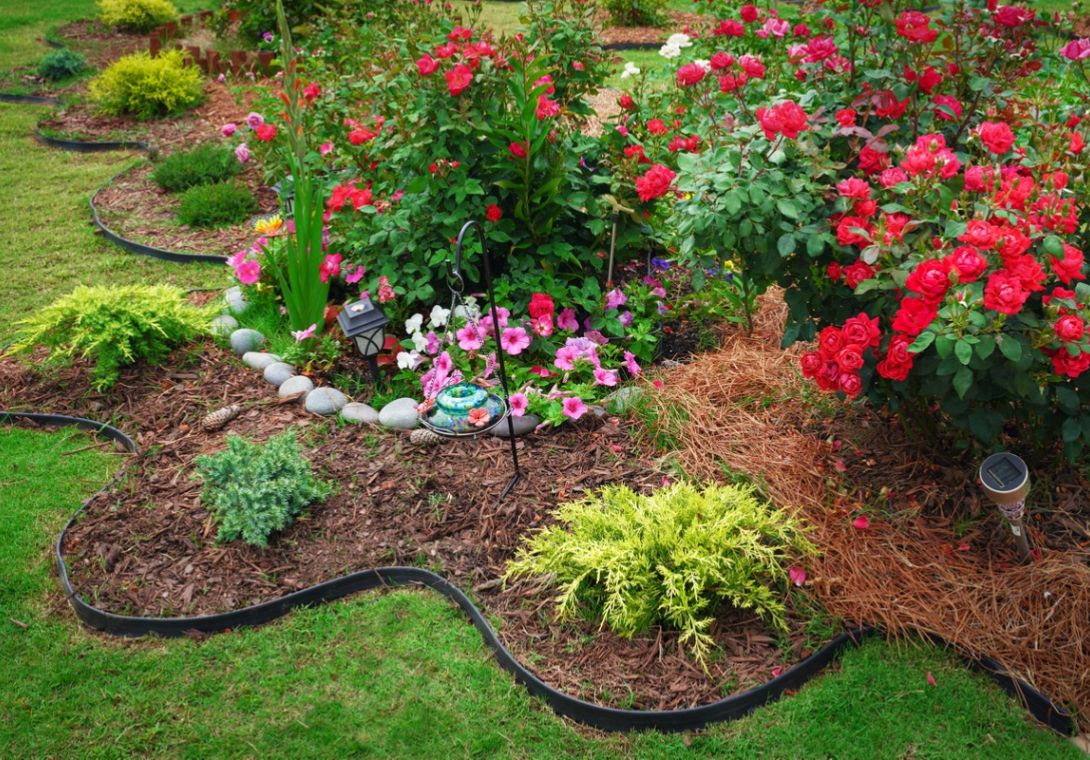 Let’s build an outdoor environment that inspires you — one designed with purpose, shaped by nature, and crafted for the lifestyle you want to enjoy every day.